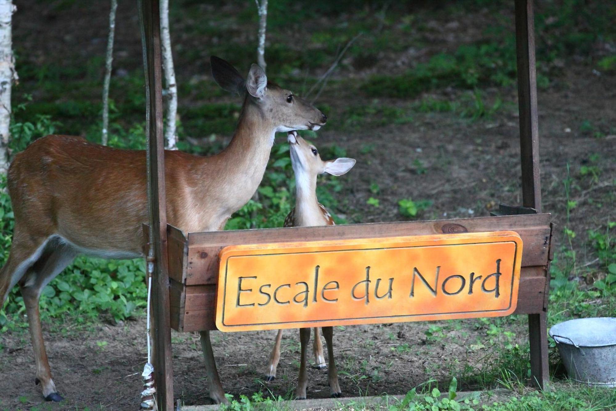 モントランブラン Escale Du Nord Bed & Breakfast エクステリア 写真